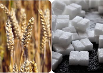 Tahıl ve şekerin insan hayatına girmesiyle diş çürüklerinin arttığı belirlendi