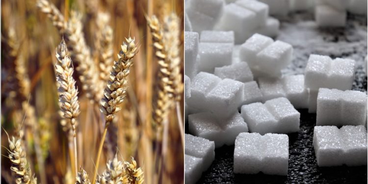 Tahıl ve şekerin insan hayatına girmesiyle diş çürüklerinin arttığı belirlendi