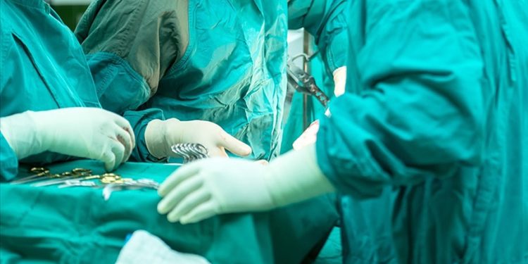 ABD'de, ilk defa bir hastaya genetiği değiştirilmiş domuz böbreği nakledildi