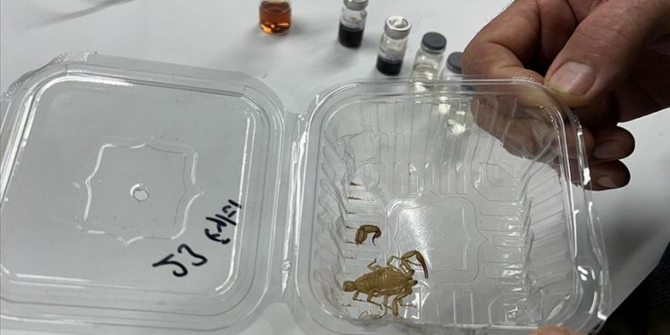 Astronotların uzaydaki radyasyondan korunması için akrep derisinden krem üretildi