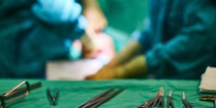 ABD'de, domuz böbreği nakledilen ilk hasta hayatını kaybetti