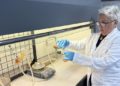 Akademisyenlerin kanserli hücrelerin etkinliğini azaltan molekül çalışması patent aldı