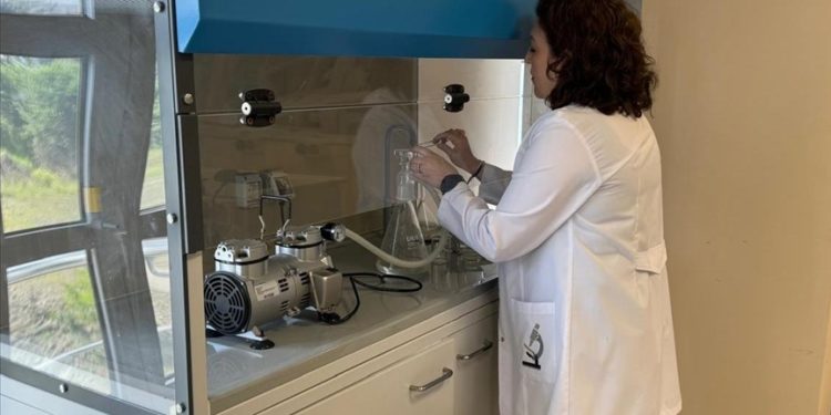 Türk bilim insanları prostatta mikroplastik tespit etti