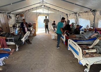 77. Dünya Sağlık Asamblesinde salgın ve hastalıkların yanı sıra Gazze gündemde olacak