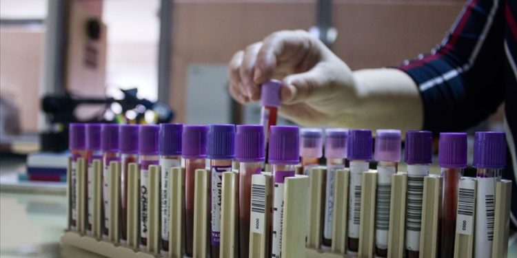 Tarama programları talasemiyle mücadeleyi kolaylaştırdı