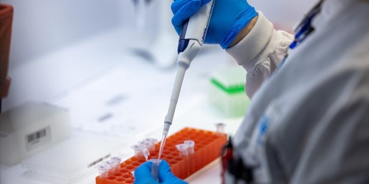 DSÖ, Afrika'da "M çiçeği" vakalarında yaşanan artışa karşı uyardı