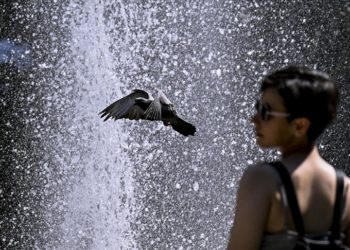 Aşırı sıcaklar beyin ve damar hastalıkları riskini artırıyor