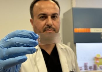 Akademisyenlerin geliştirdiği yazılımla yapay zeka, kanserli hücreleri tespit ediyor