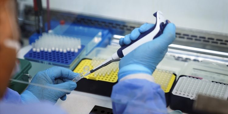 Ankara İl Sağlık Müdürlüğünden M çiçeğine ilişkin açıklama