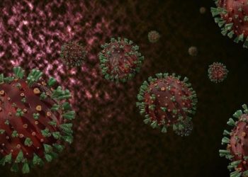 Sağlık Bakanlığı “M çiçeği” rehberini güncelledi