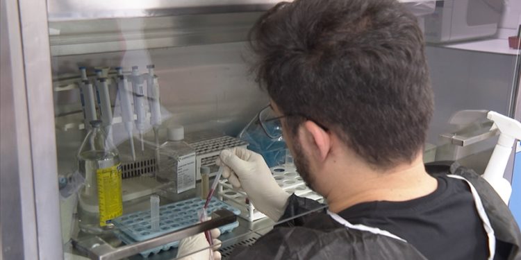 “CHAPLE Sendromu”nu dünya tıp literatürüne kazandıran Türk doktora ödül