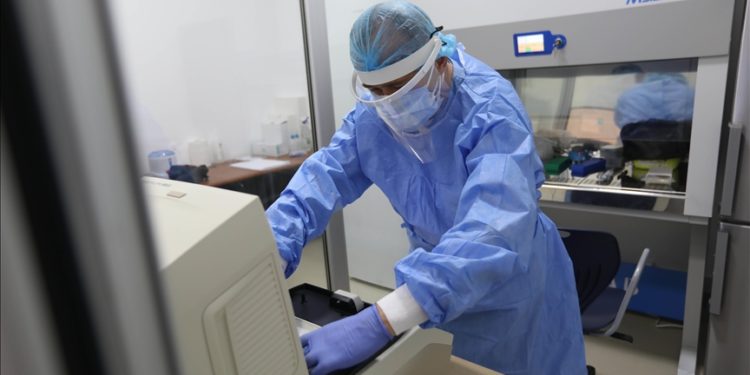 Liberya'da 5 kişide M çiçeği virüsü tespit edildi