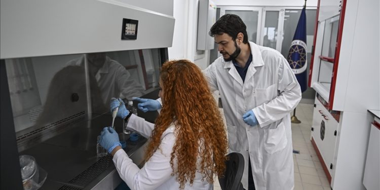 Koyun kalp kapakçığından insanlarda kullanılabilecek kalp kapakçığı implantı üretildi