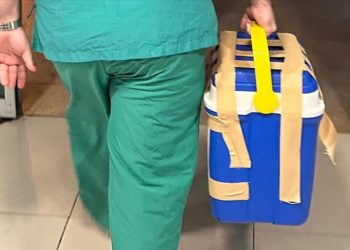 Gönüllü böbrek bağışçılarının ameliyat sonrası ölüm riski sanılandan çok daha düşük