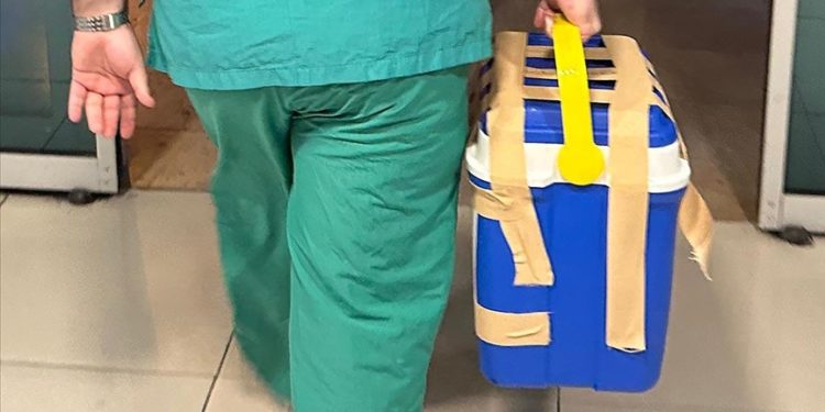 Gönüllü böbrek bağışçılarının ameliyat sonrası ölüm riski sanılandan çok daha düşük