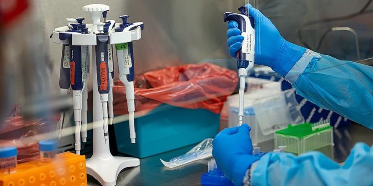 Sağlık Bakanlığı, “M çiçeği” hastalığına ilişkin merak edilen 11 soruyu internetten yanıtladı