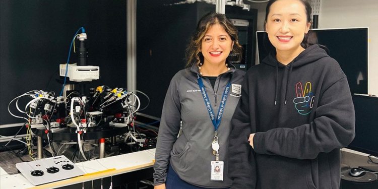 ABD’deki Türk doktorların buluşu beyin tümörlü hastaların yaşam süresi tahminini kolaylaştırabilir