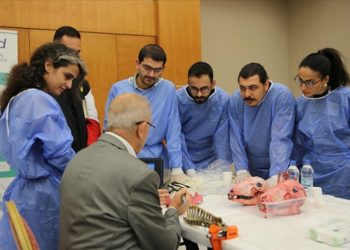 Beyin ameliyatlarının inceliklerini koyun kafatası ve omurgası üzerinde anlattılar