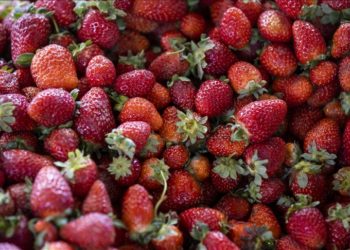 Flavonoid bakımından zengin gıdaların demans riskini azaltabileceği belirtildi