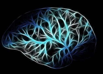 İşlevini yerine getiremeyen beyin hücreleri, obezite ve diyabete yol açabiliyor