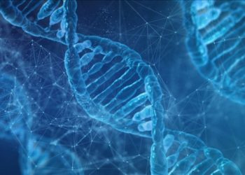 Japon araştırmacılar yağ yakımını hızlandıran proteinleri tespit etti