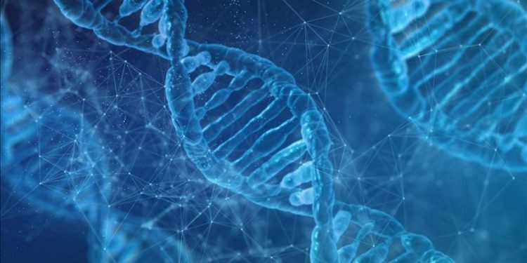 Japon araştırmacılar yağ yakımını hızlandıran proteinleri tespit etti