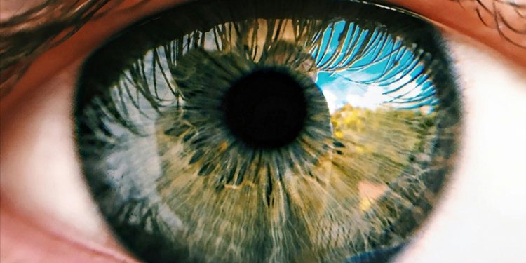 Prematürelerde erken dönemde göz tedavisi kritik önem taşıyor