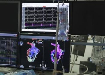 Kalbin 3 boyutlu haritasıyla belirlenen “küçük beyni” kalp hastalıklarına çare olabilecek